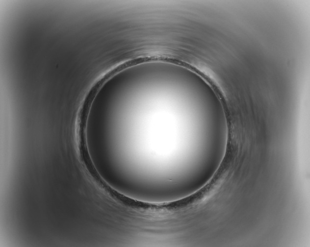X0000089410983200706221132