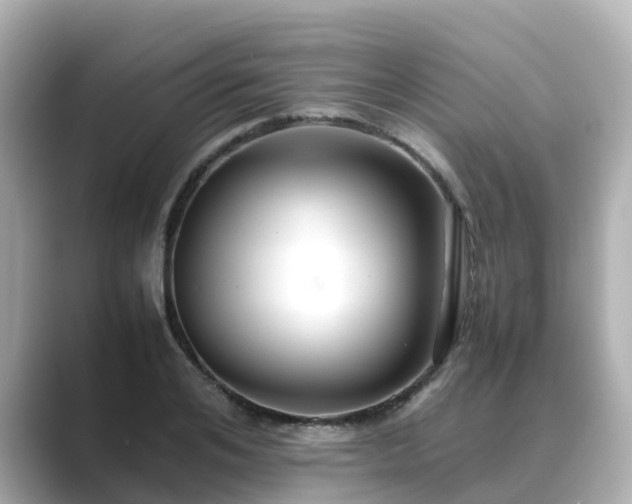 X0000089410984200706221132