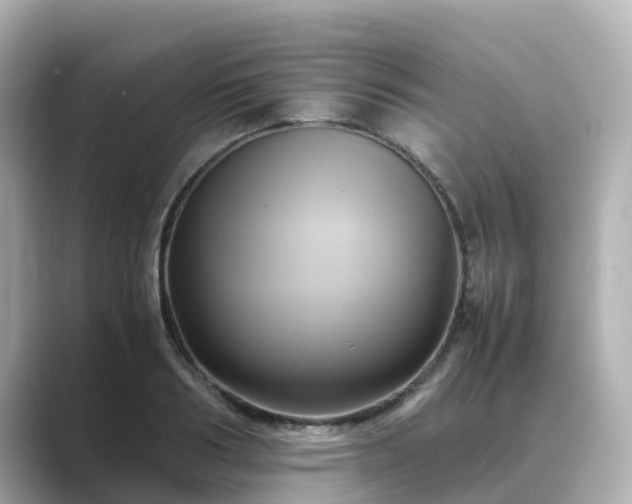 X0000089410986200706221132