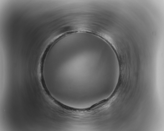 X0000089410987200706221132
