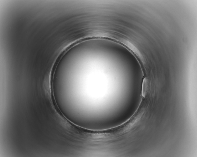 X0000089410988200706221132