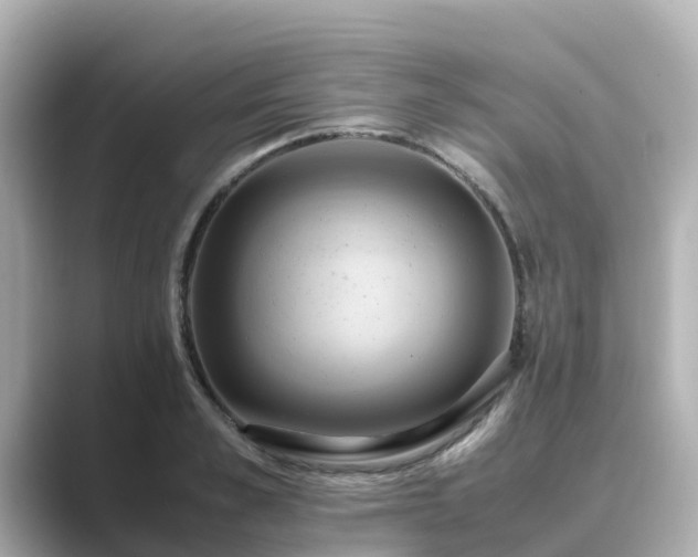 X0000089410989200706221132