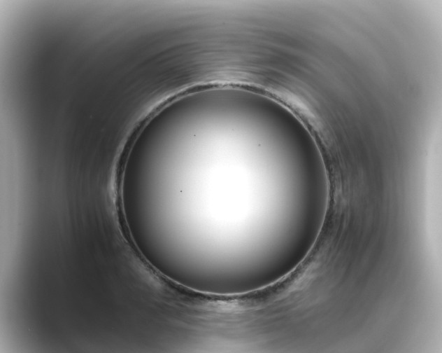 X0000089410990200706221132