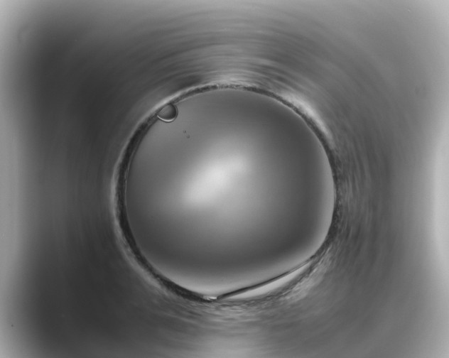 X0000089410991200706221132