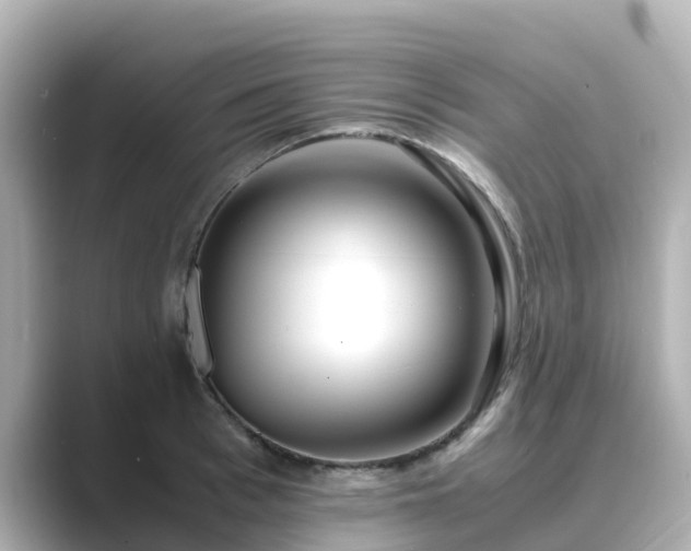 X0000089410993200706221132