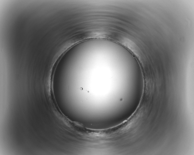 X0000089410994200706221132