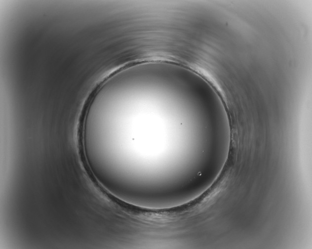 X0000089410995200706221132