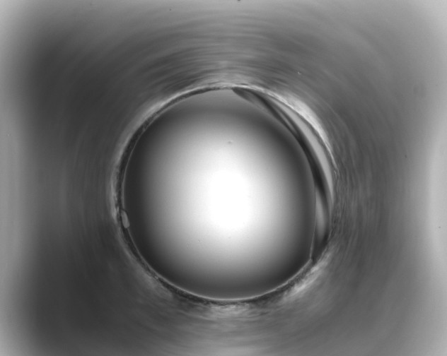 X0000089410997200706221132
