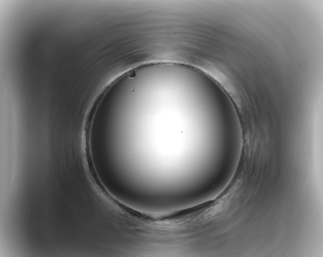 X0000089410998200706221132