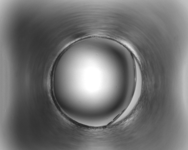 X0000089410999200706221132