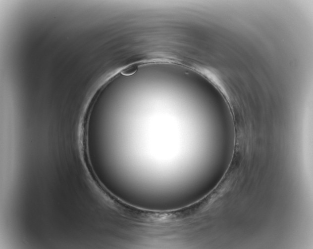 X0000089411003200706221132