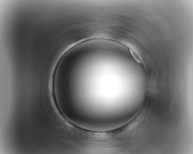 X0000089411007200706221132