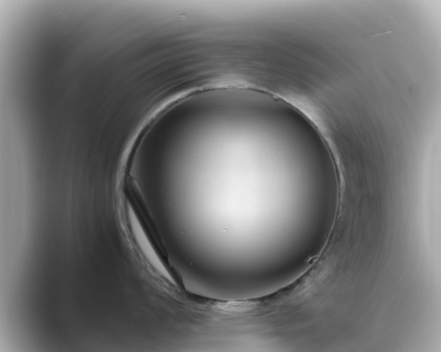 X0000089411008200706221132