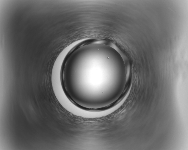 X0000089411010200706221131