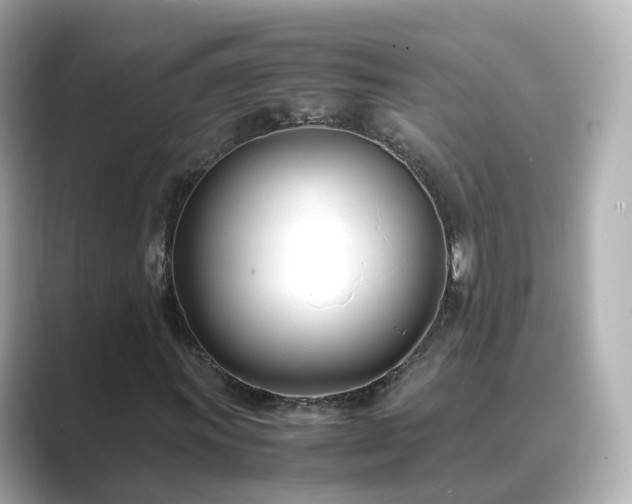 X0000089411011200706221131
