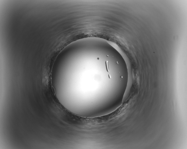 X0000089411012200706221131