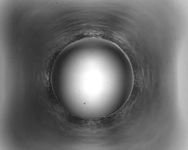 X0000089411013200706221131