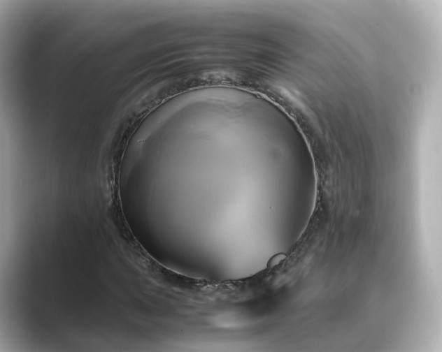 X0000089411015200706221131