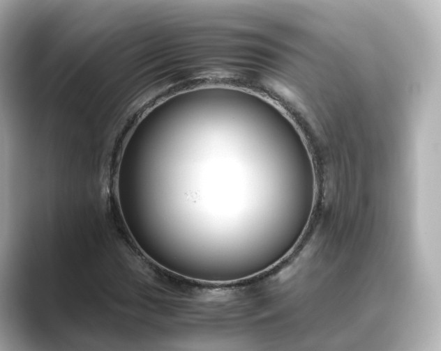 X0000089411017200706221131