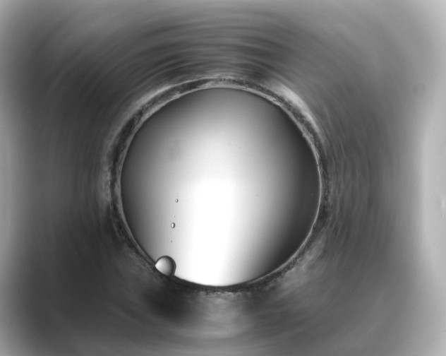 X0000089411019200706221131