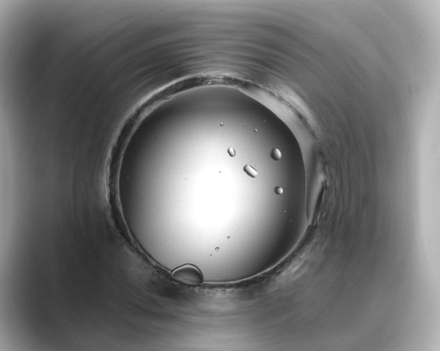 X0000089411020200706221131