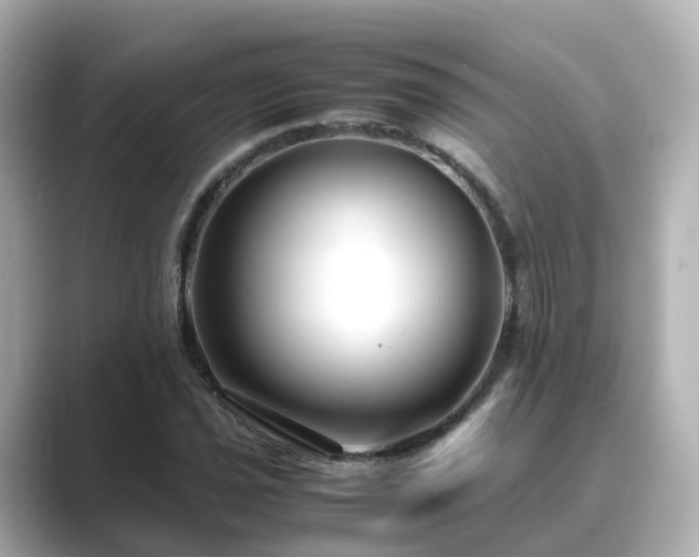 X0000089411021200706221131
