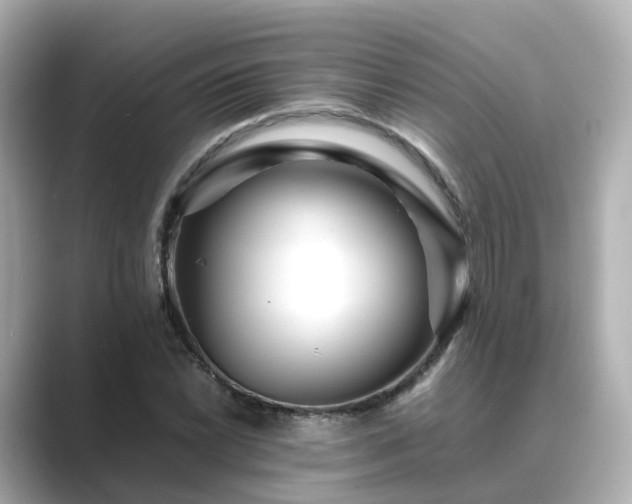 X0000089411022200706221131