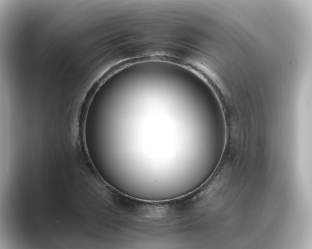 X0000089411023200706221131