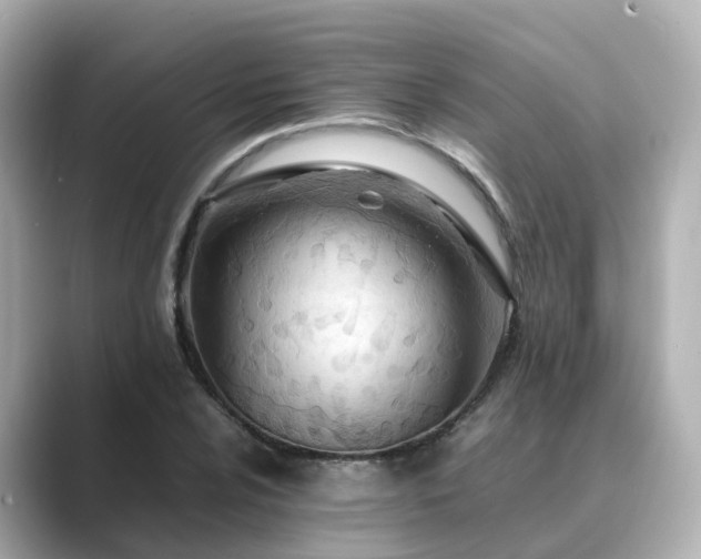X0000089411024200706221131