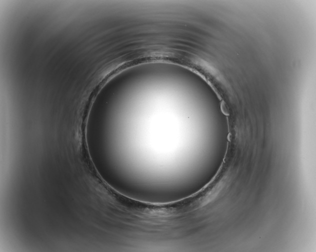 X0000089411025200706221131
