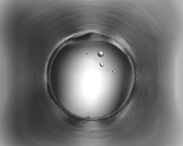 X0000089411028200706221131