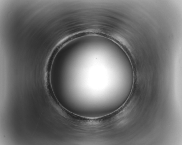 X0000089411029200706221131