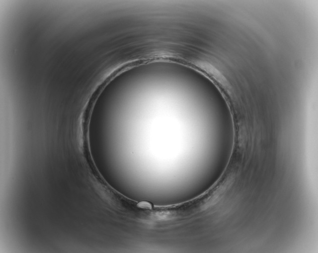 X0000089411031200706221131