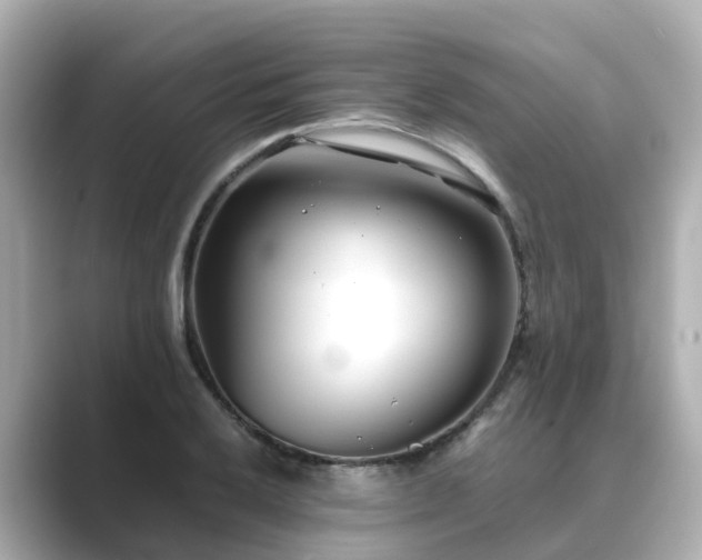 X0000089411032200706221131