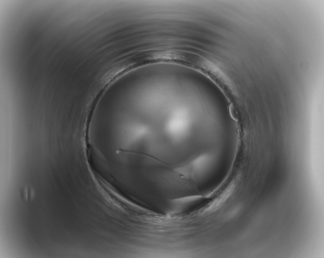 X0000089411033200706221131