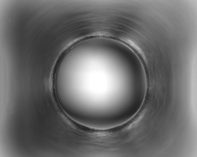 X0000089411037200706221132