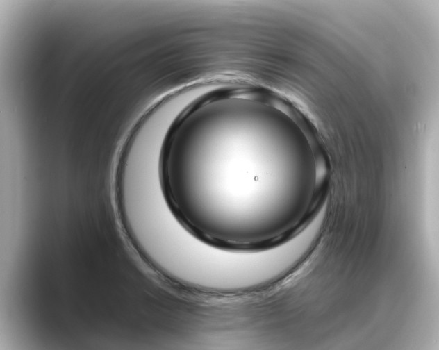 X0000089411038200706221132