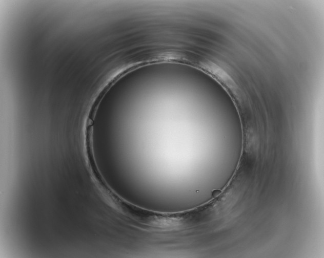 X0000089411039200706221132