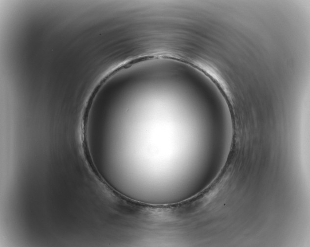 X0000089411040200706221132
