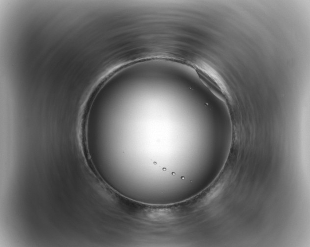 X0000089411043200706221132