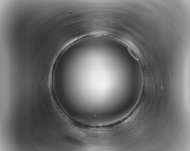 X0000089411044200706221132