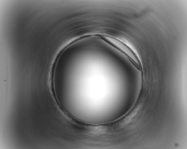 X0000089411045200706221132