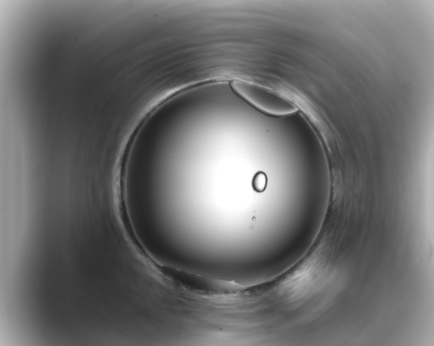 X0000089411048200706221132
