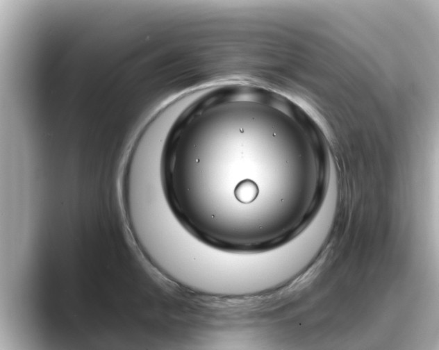 X0000089411054200706221132