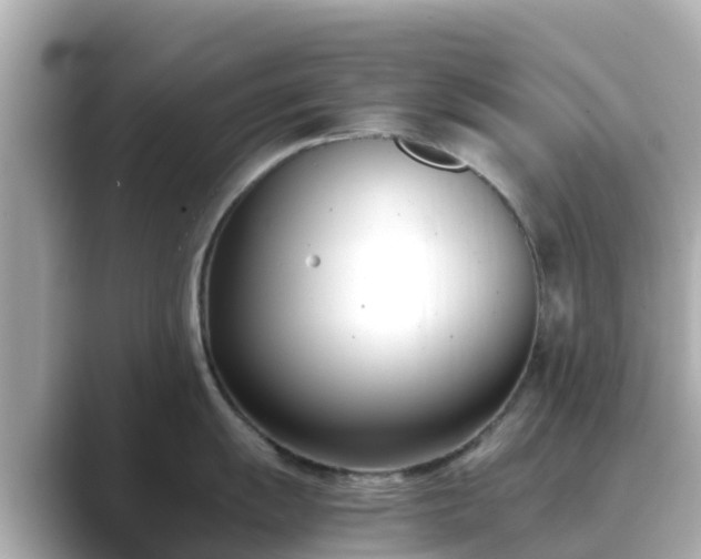 X0000089411055200706221132