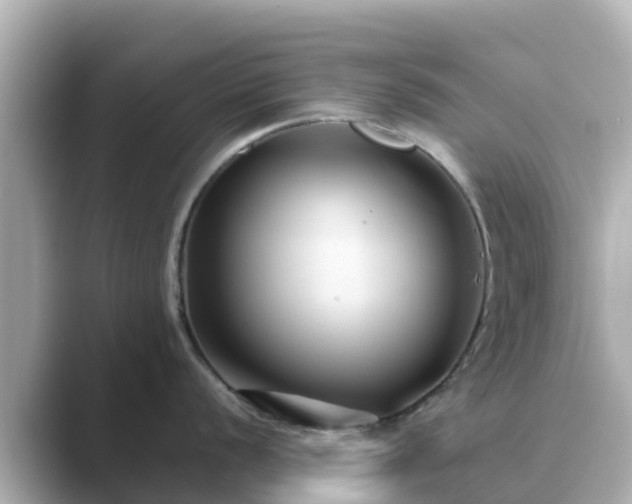 X0000089411056200706221132