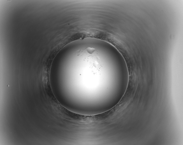 X0000089411058200706221131