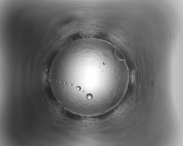 X0000089411059200706221131