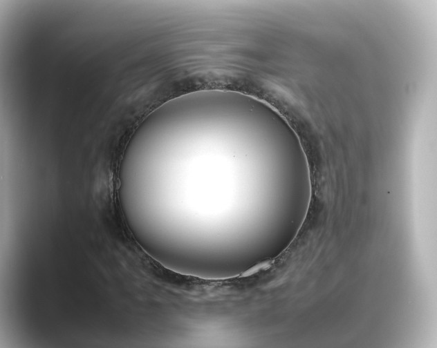 X0000089411061200706221131