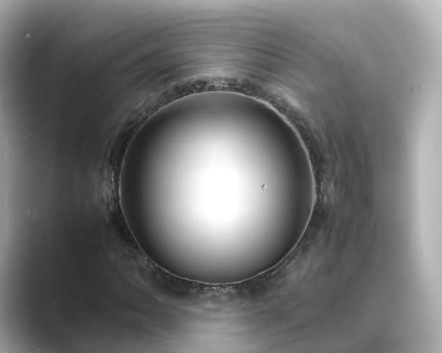 X0000089411062200706221131